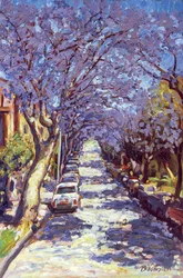 Nord-Sydney Jacaranda, 1990